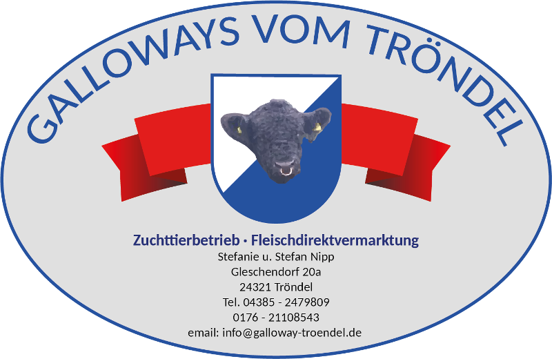Galloways vom Tröndel